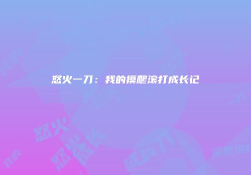 怒火一刀：我的摸爬滚打成长记