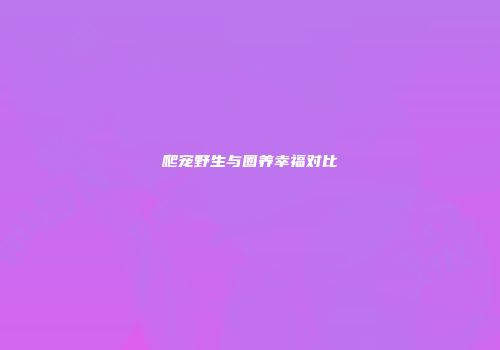 爬宠野生与圈养幸福对比
