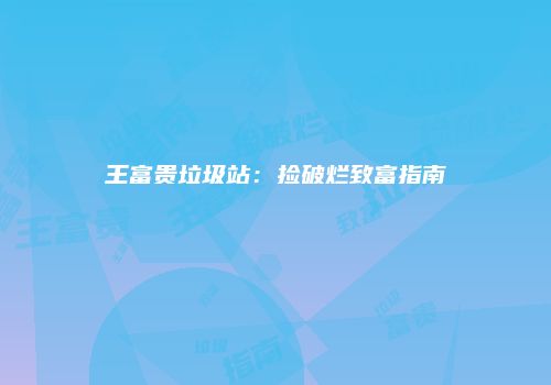 王富贵垃圾站：捡破烂致富指南