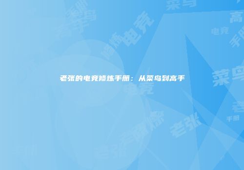老张的电竞修炼手册：从菜鸟到高手
