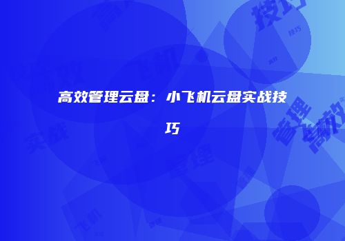 高效管理云盘：小飞机云盘实战技巧