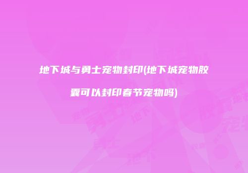 地下城与勇士宠物封印(地下城宠物胶囊可以封印春节宠物吗)
