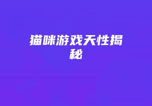 猫咪游戏天性揭秘