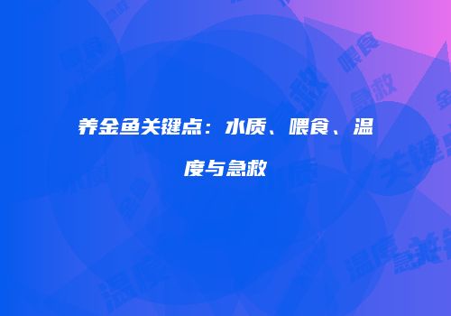 养金鱼关键点：水质、喂食、温度与急救