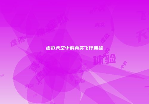 虚拟天空中的真实飞行体验