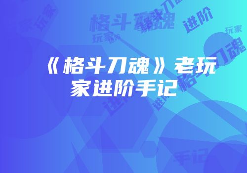 《格斗刀魂》老玩家进阶手记