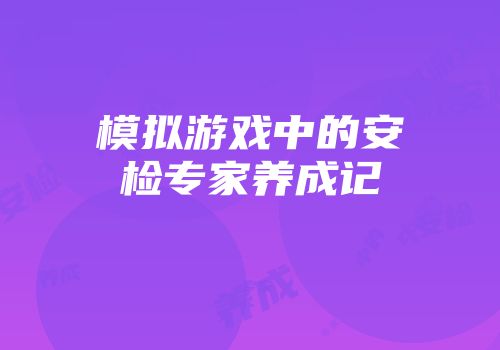模拟游戏中的安检专家养成记