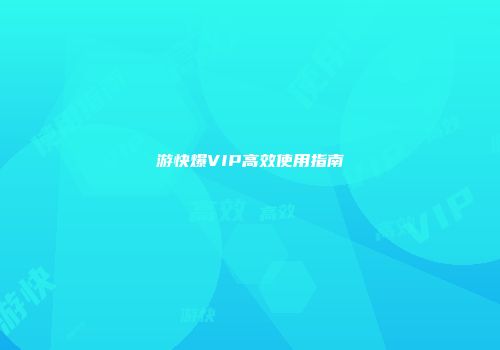 游快爆VIP高效使用指南