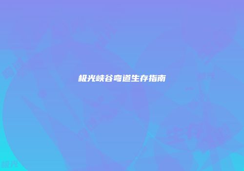 极光峡谷弯道生存指南