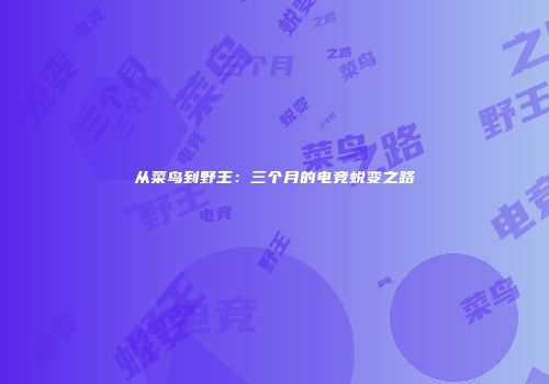 从菜鸟到野王：三个月的电竞蜕变之路