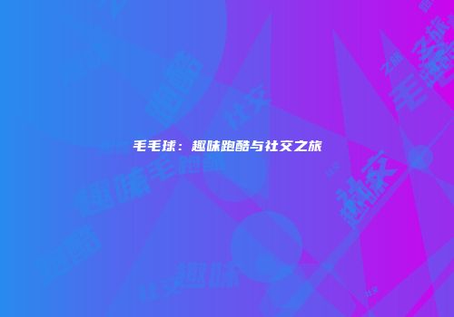 毛毛球：趣味跑酷与社交之旅