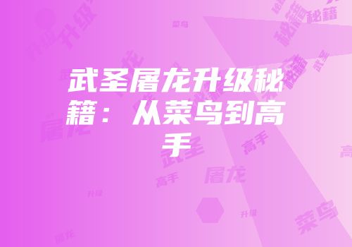 武圣屠龙升级秘籍：从菜鸟到高手