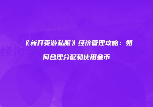 《新开页游私服》经济管理攻略:如何合理分配和使用金币