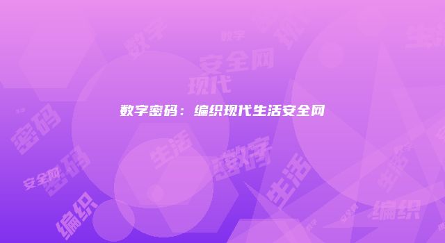 数字密码：编织现代生活安全网