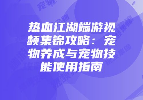热血江湖端游视频集锦攻略：宠物养成与宠物技能使用指南