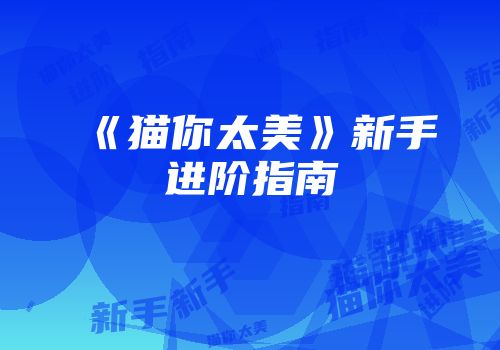 《猫你太美》新手进阶指南
