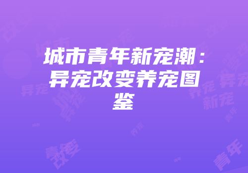 城市青年新宠潮：异宠改变养宠图鉴