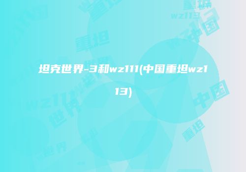 坦克世界-3和wz111(中国重坦wz113)