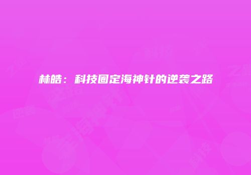 林皓：科技圈定海神针的逆袭之路