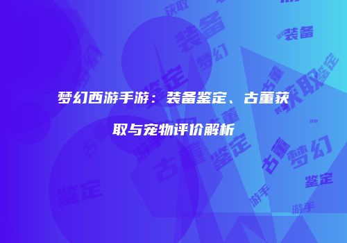 梦幻西游手游：装备鉴定、古董获取与宠物评价解析
