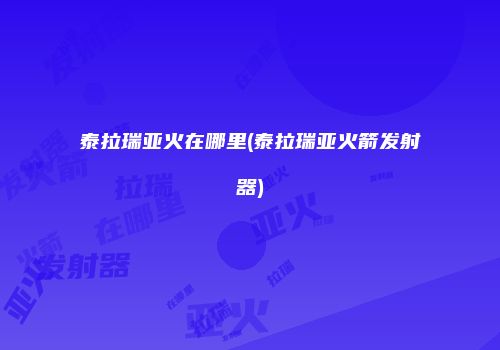 泰拉瑞亚火在哪里(泰拉瑞亚火箭发射器)