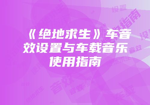 《绝地求生》车音效设置与车载音乐使用指南