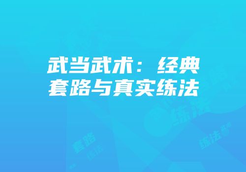武当武术：经典套路与真实练法