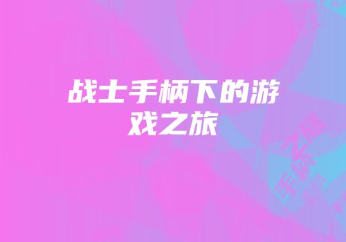 战士手柄下的游戏之旅