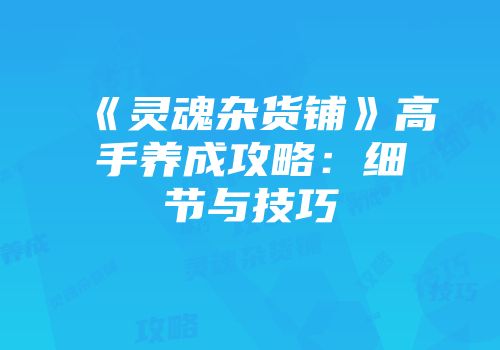 《灵魂杂货铺》高手养成攻略：细节与技巧