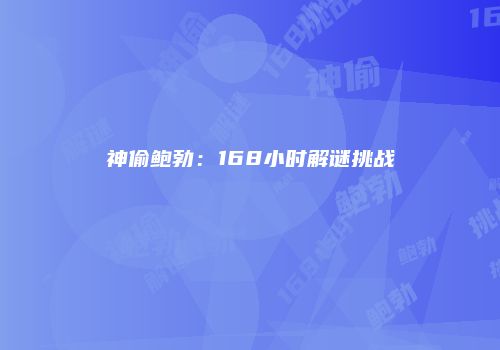 神偷鲍勃：168小时解谜挑战