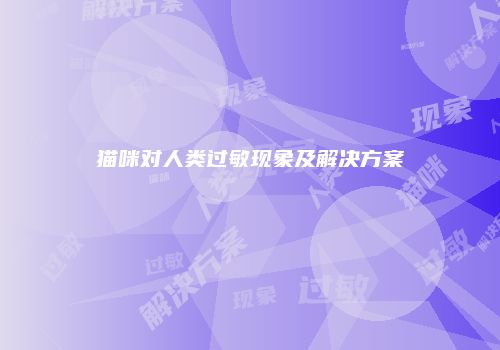 猫咪对人类过敏现象及解决方案