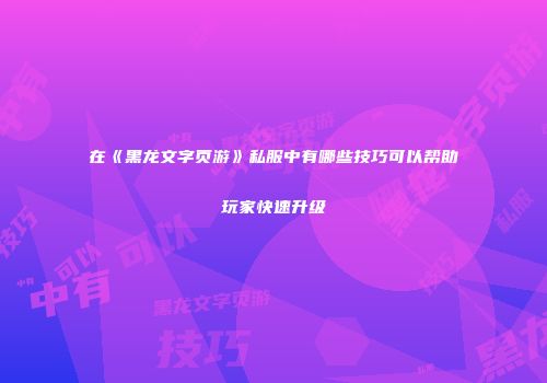 在《黑龙文字页游》私服中有哪些技巧可以帮助玩家快速升级