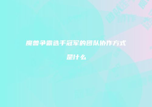 魔兽争霸选手冠军的团队协作方式是什么