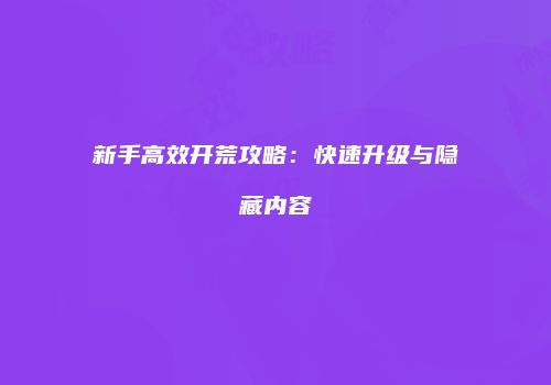新手高效开荒攻略:快速升级与隐藏内容