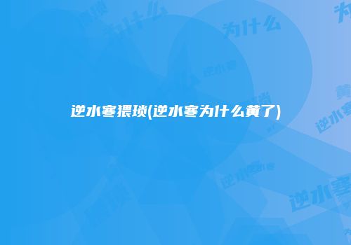 逆水寒猥琐(逆水寒为什么黄了)