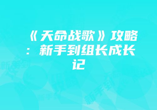 《天命战歌》攻略：新手到组长成长记