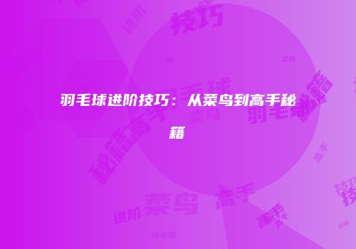 羽毛球进阶技巧：从菜鸟到高手秘籍
