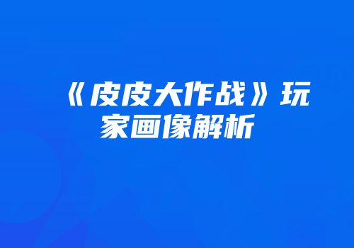 《皮皮大作战》玩家画像解析