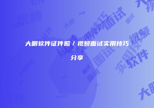大眼软件证件照／视频面试实用技巧分享