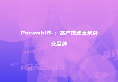 Porumb18-：高产抗逆玉米杂交品种