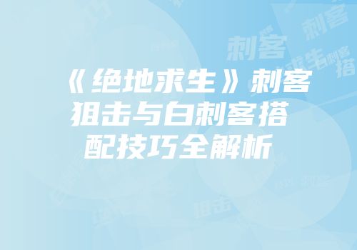《绝地求生》刺客狙击与白刺客搭配技巧全解析