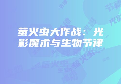 萤火虫大作战：光影魔术与生物节律