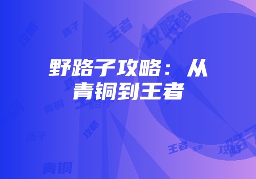 野路子攻略：从青铜到王者