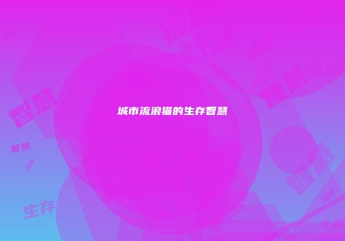 城市流浪猫的生存智慧