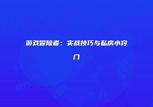 游戏冒险者：实战技巧与私房小窍门