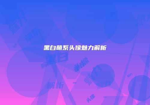黑白萌系头像魅力解析