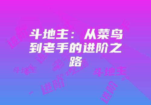 斗地主：从菜鸟到老手的进阶之路