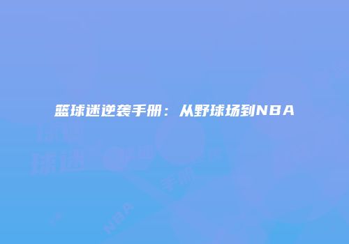 篮球迷逆袭手册：从野球场到NBA