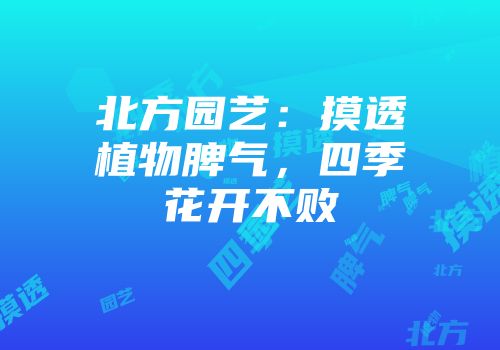 北方园艺：摸透植物脾气，四季花开不败