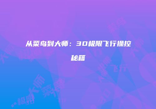 从菜鸟到大师：3D极限飞行操控秘籍